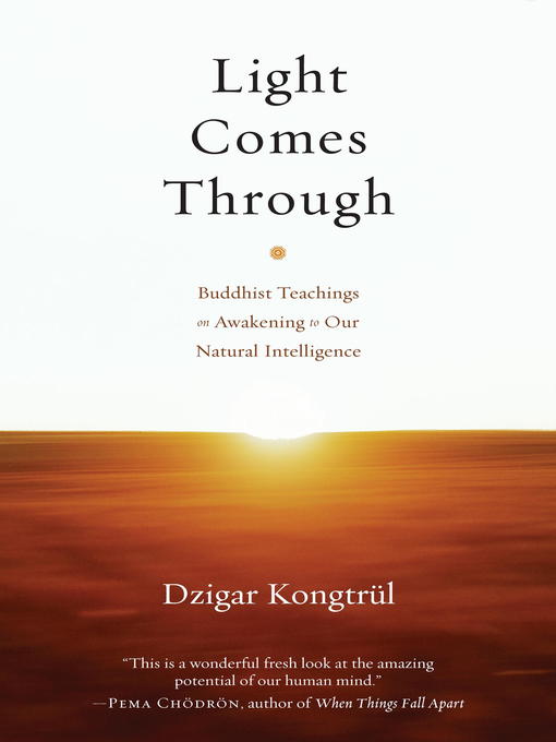 Title details for Light Comes Through by Dzigar Kongtrul - Available